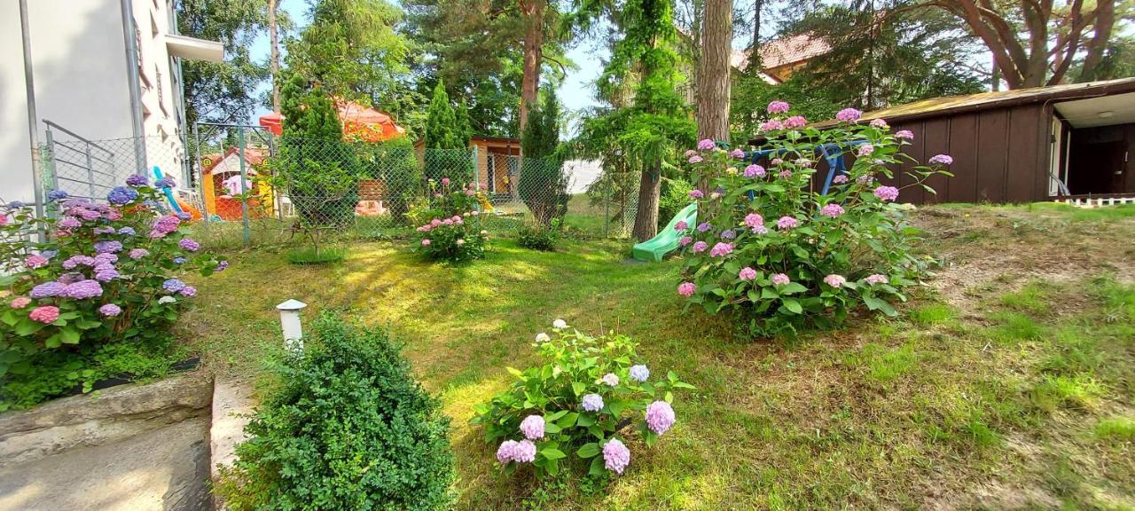 Villa Azalia Jastrzębia Góra 外观 照片